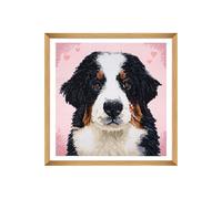 Kit de Point de Croix Comptée - Woof - 36 x 36 cm - Trimits(...) - Multicolore