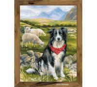 Kit de point de croix Riolis Border Collie