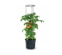 Kit de pots à tomates et bac de culture potager 12 L / 28 L Royaume-Uni