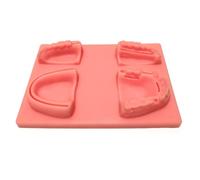 Kit de pratique de suture dentaire, coussin de suture, kit de formation for étudiants et étudiants vétérinaires, 17 x 12 cm, 1 jeu, 1 unité, adulte