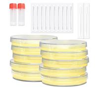 Kit de projet scientifique de boîtes de Petri en gélose nutritive, 10 plaques de gélose pré-coulées et cotons-tiges pour expériences scientifiques, kit scientifique des bactéries - scellé séparément