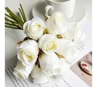 Kit de rechange pour brosse latérale et filtre pour Conga 7490 avec serpillères et sacs à poussière pour un nettoyage optimal (12 pièces, blanc)