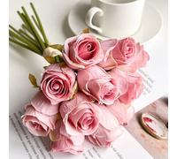 Kit de rechange pour brosse latérale et filtre pour Conga 7490, comprend des serpillères et des sacs à poussière pour un nettoyage optimal (couleur pâte de haricot)