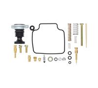 Kit de reconstruction de carburateur avec pompe d'amorçage pour Honda FourTrax 300 TRX300 TRX 300 2x4 TRX300FW 4x4 Wheeler 93 94 95 96 97 98 99 00