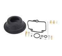 Kit de Reconstruction de Carburateur, Réparation de Révision de Carburateur pour Moteur MonocylindreDR350 Goose350 BST40