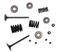 Kit de reconstruction de valve for Bandito 300 Xingyue GS Moon 260 | Convient également aux VTT ST260 Asun 300 Daymak Grunt 300 ZMC.