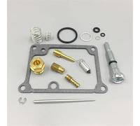 Kit de Remplacement Kit De Réparation Carburateur pour Kawasaki KX65 2002, 2003, 2004, 2005-2009, Accessoires Moteur, Joint D'étanchéité, Pointeau(1 Sets)