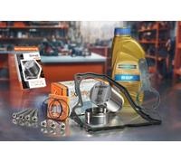 Kit de réparation d'accumulateur de pression KITRONIC DQ200 pour DSG, à sec 7 vitesses 0AM compatible avec VW | joint et 1 litre d'huile Ravenol Mechatronics, vis tournantes en aluminium incluses.