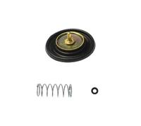 Kit De Réparation De Carburateur De Moto Compatible avec Suzuki 250 AN250 pour Burgman pour Linhai Aeolus VOG 260 300 Réservoir 260 CVK30 30MM Kit de révision carburateur(Type 5)
