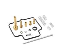 Kit De Réparation De Carburateur Pour 250 Ozark LT-F250 2002-2009/2012