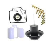 Kit de réparation de carburateur pour Helix Fusion CH250 Big Ship 22 Carburateur CN250 CN250