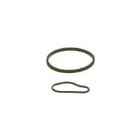 Bosch Kit de réparation de maître-cylindre de frein F 009 D00 783 pour FORD