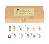 Kit de Réparation de Montre Professionnel, 12 Pièces Mainspring Universel, Ensemble d'Outils d'Entretien pour Ressort Principal