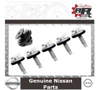 Kit De Réparation De Poignée De Hayon Arrière Nissan Qashqai (J10) - Vis Et Clip