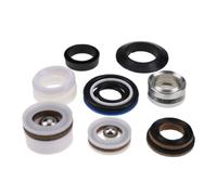 Kit de réparation de Pompe 244194 18B260 Compatible avec Graco 390 | Convient à Graco 390 PC Ultra 495 595 395 395 PC