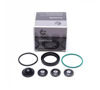 ESEN SKV 96SKV933 Kit d'assemblage, pompe à carburant