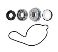Kit de réparation de roulement de pompe à eau, 19217-MAL-300 Kit de joint de pompe à eau ATV 91001-KA4-003 Remplacement pour TRX450R 2004-2009
