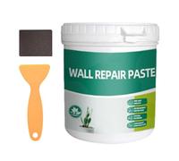 Kit de réparation de trous dans le mur, kit de réparation d'agent de réparation mural,Kit d'agent de réparation de mur sec étanche de 600 g | Sèche rapidement le scellant