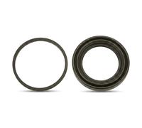 Kit de réparation d'étrier de frein SJ1165 TRW pour SEAT VW SKODA AUDI