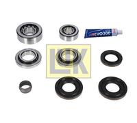LuK Kit de réparation différentiel 462021510 – Compatible avec BMW 5, 5 Gran Turismo, 5 Touring