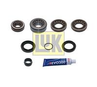 Kit De Réparation Différentiel Schaeffler Luk 462 0398 10 Luk Gearbox pour Bmw
