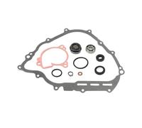 Kit de réparation et reconstruction pompe à eau, joint d'arbre, boîte roulement for F1 700 VI 550 2008-2018 universel