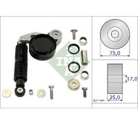 Kit de réparation INA 533 0118 10, tendeur de courroie à nervures en V pour...