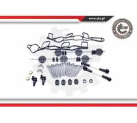 Kit de réparation, module de tube d’aspiration 49SKV501 ESEN SKV pour AUDI VW