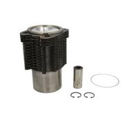 Kit de réparation, piston/chemise de cylindre KOLBENSCHMIDT 91395962