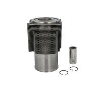 Kit de réparation, piston/chemise de cylindre KOLBENSCHMIDT 93280960