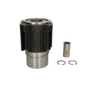 Kit de réparation, piston/chemise de cylindre KOLBENSCHMIDT 93315961