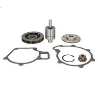 Kit de réparation, pompe à eau DT SPARE PARTS 3.90603 pour SM 6.871 1987-1994