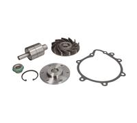 Kit de réparation, pompe à eau DT Spare Parts 3.90606