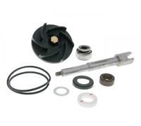 Tecnium Fs-141 Water Pump Rebuild Kit Argenté