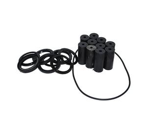 Kit de réparation pour zapfwe llen Pompe Ferroni MT MT 300