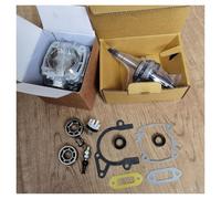 Kit de réparation TS420 avec Ensemble Vilebrequin-Cylindre Compatible avec Les scies à découper TS410 et TS420 - Pièces de Rechange(with Oil Seal Gasket)