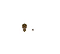 Kit De Réparation Unité Pompe Injecteur Bosch F00VX99994 pour Scania