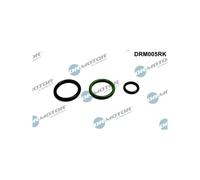 Kit de réparation, unité pompe-injecteur Dr.Motor DRM005RK