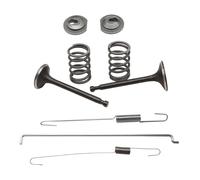 Kit de ressorts de soupape pour moteur GX200 168F 170F 5,5-6,5 CV, ressort de contrôle de vitesse en métal avec assemblage de retenue, compatible avec générateur de pompe à eau de tondeuse à gazon de