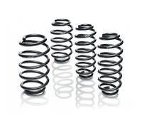 EIBACH E10-15-011-03-22 Ressorts de suspension