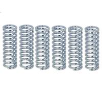 Kit de ressorts d'embrayage FERODO FSS0313