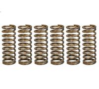 Kit de ressorts d'embrayage TRW MEF341-6