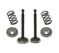 Kit de retenue de Ressort d'admission for Tondeuse à Gazon 4 Temps GX35 et GX35NT