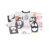 Kit de retour au calme - jeu émotions multicolore TU