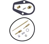 Kit de révision complet du carburateur Tourmax CAB-EH15
