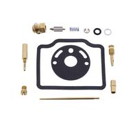 Kit de révision complet du carburateur Tourmax CAB-EH16