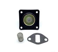 Kit de révision de pompe à carburant avec ressort en métal pour une utilisation dans différents moteurs comme le K301 et d'autres moteurs 230675