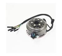 Kit de Rotor de Stator à 6 pôles, volant d'allumage for W140(Magneto stator Assy)