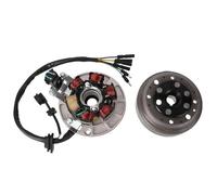 Kit De Rotor Stator Magnétique À Bobine 6 Pôles Pour Moteur 140cc, Pour Moto, Fosse Poussière, Allumage Vélo, Volant D'inertie Moteur Générateur D'allumage