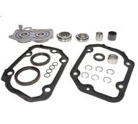 Kit de roulement, boîte de vitesses LUK 462 0055 1 pour A2 (8Z0) 1.4 2000-2005